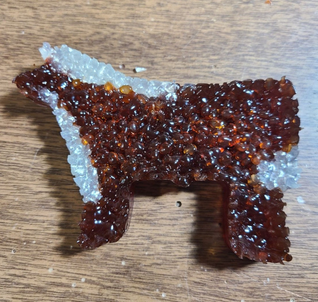 Steer